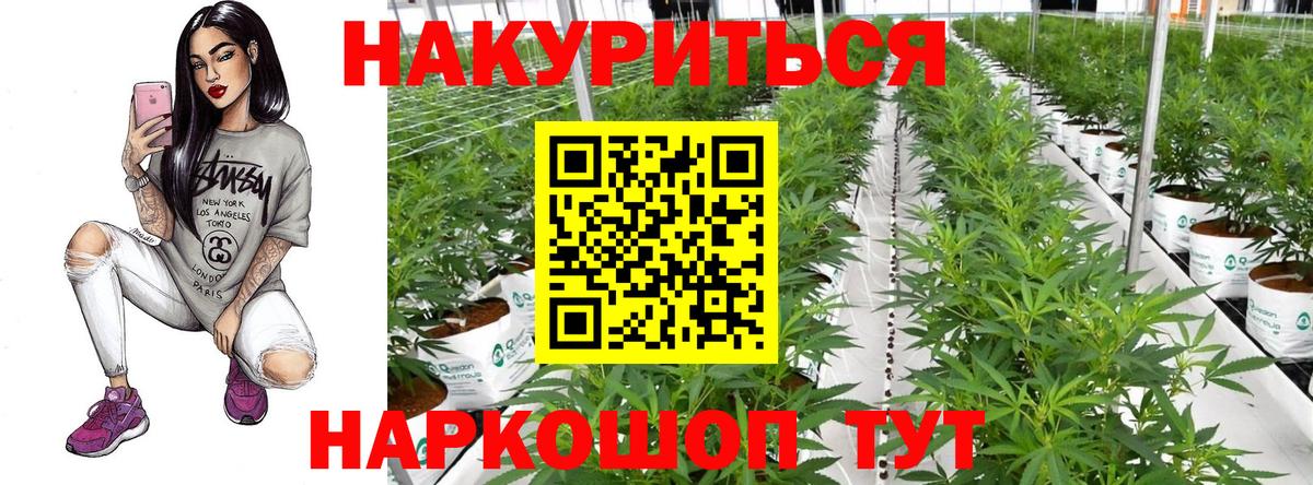 Конопля MAZAR  Вход с VPN  Конопля OG Kush  Ейск  Бошки марихуана MAZAR 